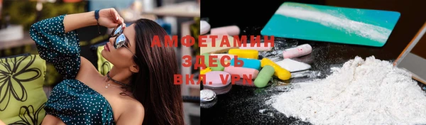 гашик Вяземский