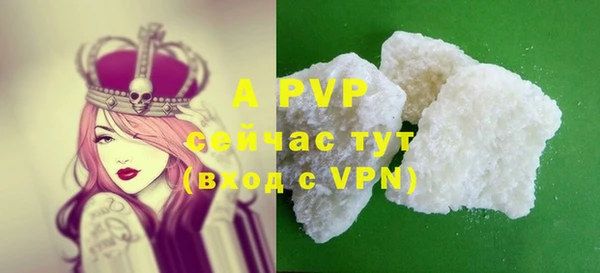 гашик Вяземский
