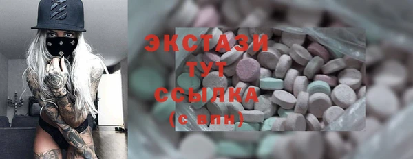 гашик Вяземский