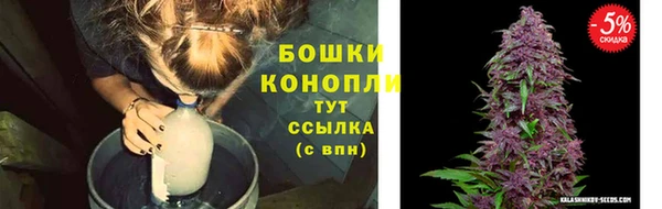бошки Тихвин