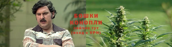 гашик Вяземский