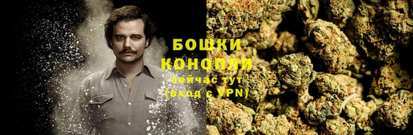 гашик Вяземский