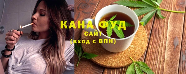 гашик Вяземский