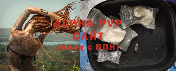 гашик Вяземский