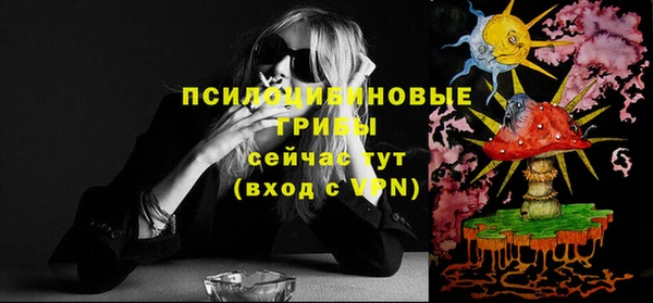 герыч Тайга