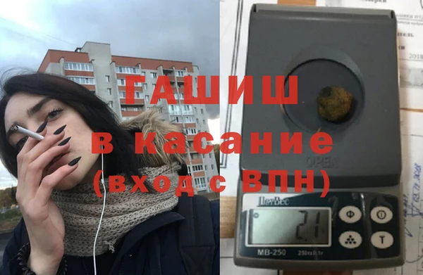 гашик Вяземский