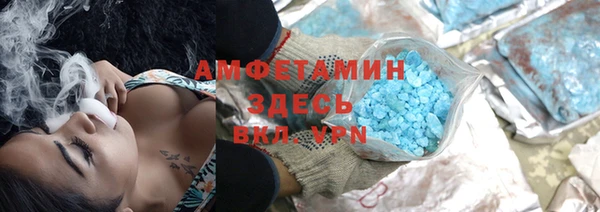 гашик Вяземский