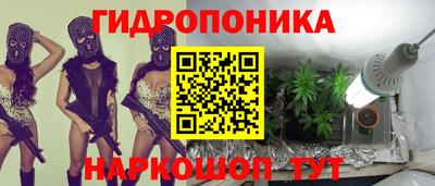 spice Кандалакша