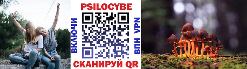 Галлюциногенные грибы Magic Shrooms  купить   KRAKEN   Назарово 