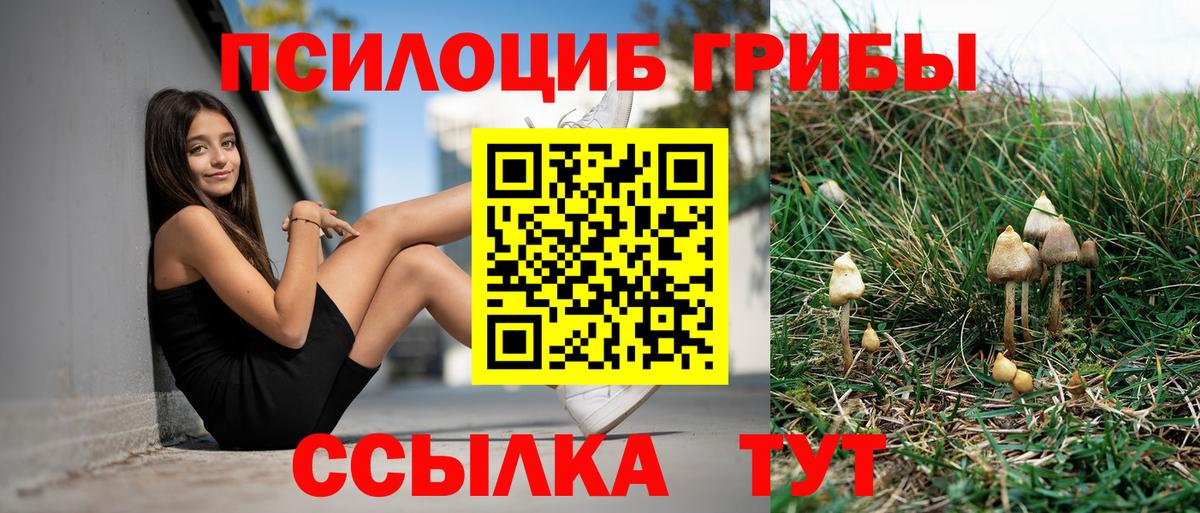 Галлюциногенные грибы MAGIC MUSHROOMS  Назарово 