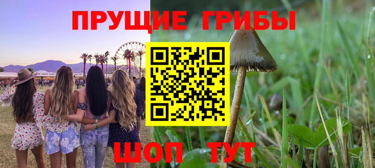 Назарово  Псилоцибиновые грибы мухоморы  Вход с VPN 