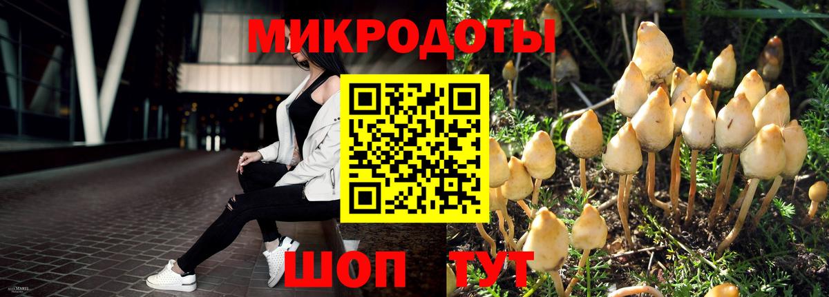 Галлюциногенные грибы ЛСД Назарово