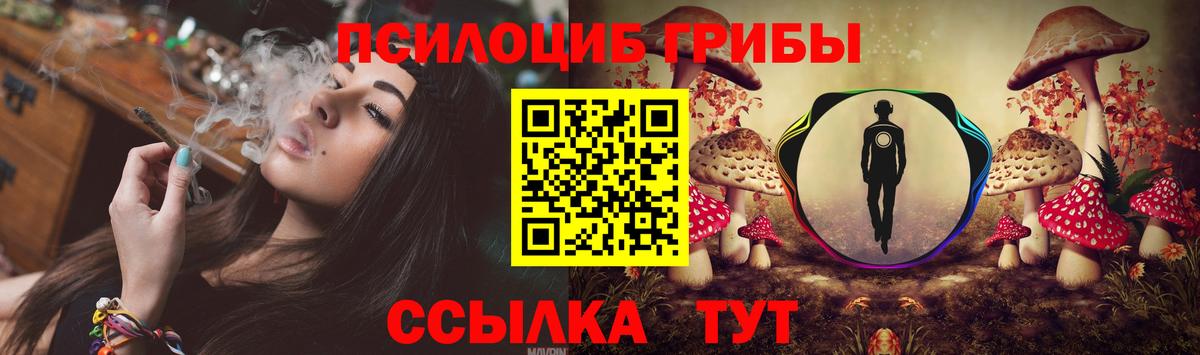 Галлюциногенные грибы мицелий Назарово